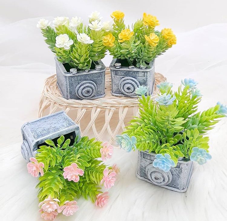 avenues_id's tweet photo. bonsai bunga (termasuk pot)
tinggi 14cm
IDR 40.000 https://t.co/fpqBocm6Gn
