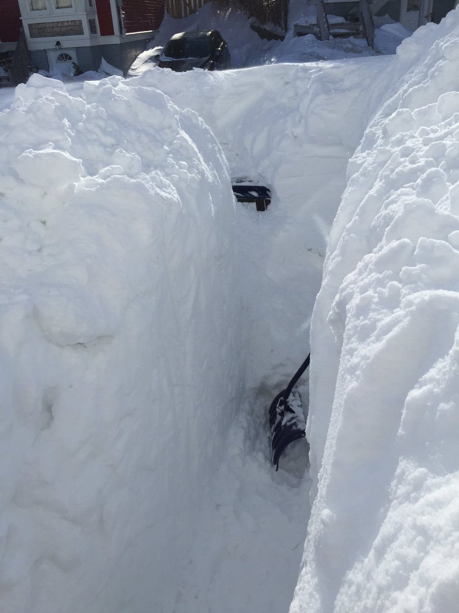 BairdTom's tweet photo. Made contact with the roof of my car. https://t.co/YBbX48nEbc