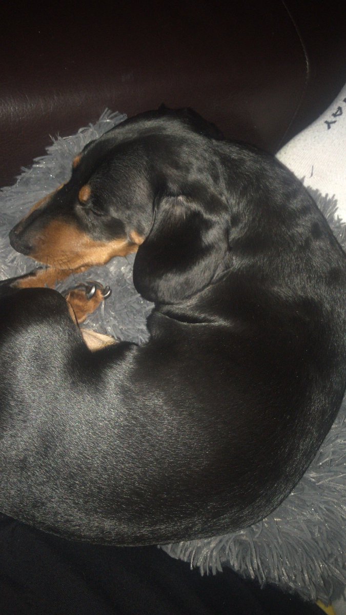 Jillian (J will do) tweet media