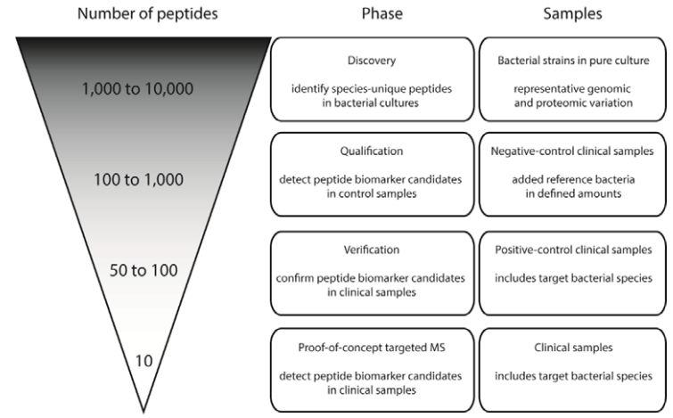 molcellprot's tweet photo. Paper in Press: #MassSpec #Biomarker - "Discovery of species-unique peptide biomarkers of bacterial pathogens by tandem mass spectrometry-based proteotyping"

https://t.co/kG9UxTFItw
@SahlgrenskaAcad @uniofgothenburg https://t.co/qee8Nz5PIP