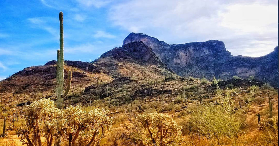 AZStateParks's tweet photo. This Monday, January 20, all state parks are FEE FREE in honor of Martin Luther King, Jr. Day! Find a hike, pack a picnic, and get out there! https://t.co/4vg94lZnTu

📸 : @ brad.stoops https://t.co/b4yKO7EFQE