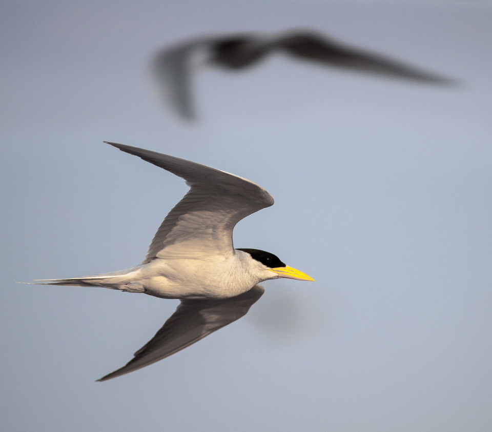 BookMyLens tweet media