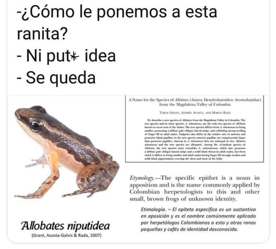 mariacsegovia's tweet photo. Qué tal este nombre científico !! @CientificasEC 🤪 https://t.co/WcA7hkZREK