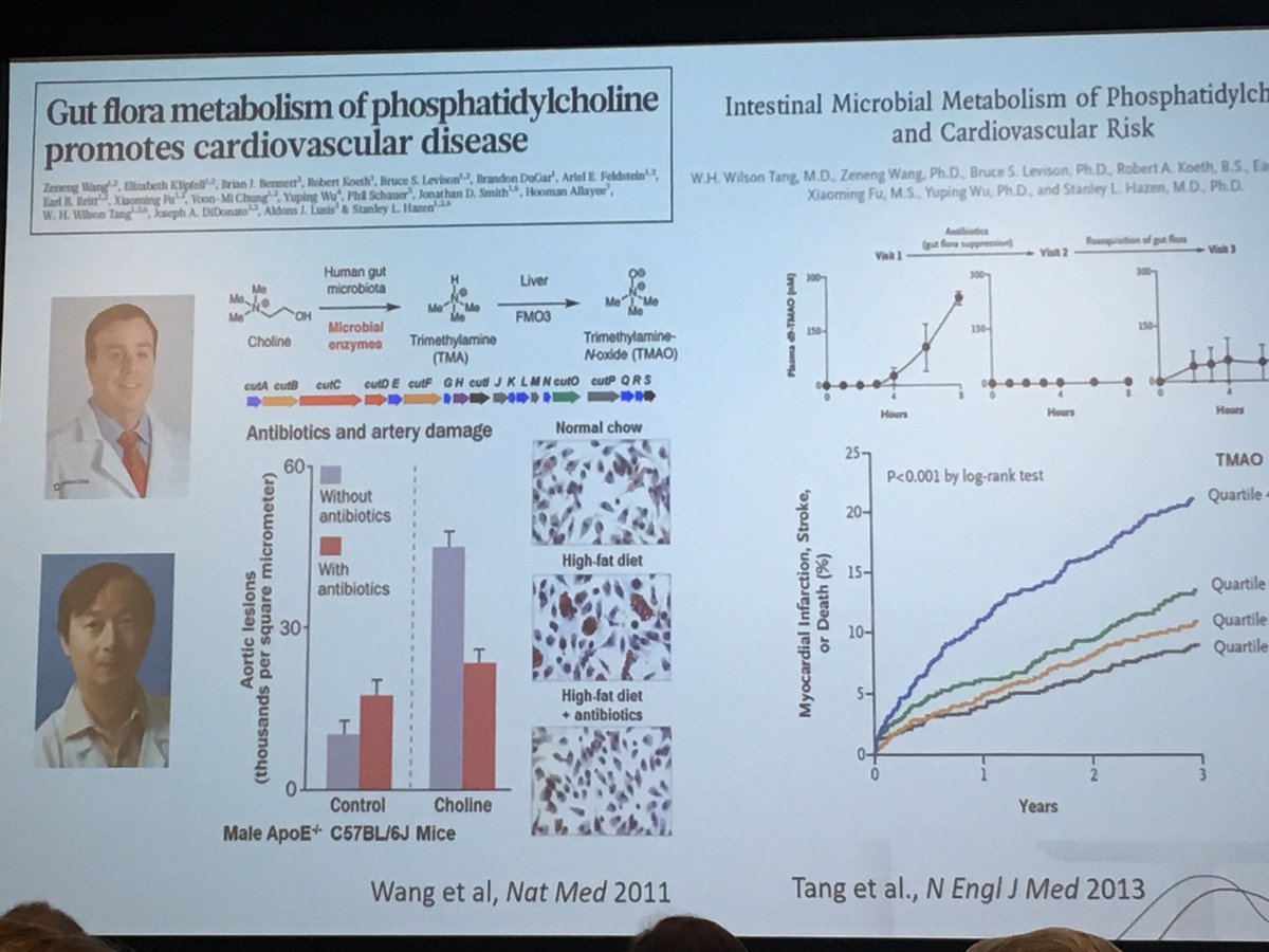 Stavros Stavrakis (@stavrosstavrak1) on Twitter photo Exceptional presentation by <a href="/WilsonTangMD/">W. H. Wilson Tang, MD</a> on the role of gut microbiota in cardiovascular disease #UCARS20. <a href="/StavrosDrakos/">Stavros George Drakos</a> <a href="/JamesCFangMD/">James Fang</a> Exceptional presentation by <a href="/WilsonTangMD/">W. H. Wilson Tang, MD</a> on the role of gut microbiota in cardiovascular disease #UCARS20. <a href="/StavrosDrakos/">Stavros George Drakos</a> <a href="/JamesCFangMD/">James Fang</a>