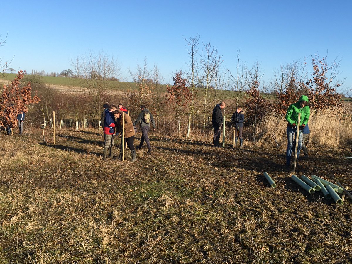 BattellGary's tweet photo. Two great #tree #planting sessions today with Debenham cubs & scouts.
A HUGE THANKS to Edwin,
@WoodlandTrust @WT_Darren
and specially to our hardworking
tree planters ๐
๐ณ๐ณ๐ณ๐ณ๐ณ๐ณ๐ณ๐ณ๐ณ https://t.co/2PF7l8Dip9
