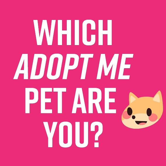 Uzivatel Adopt Me Na Twitteru Which Adopt Me Pet Are You