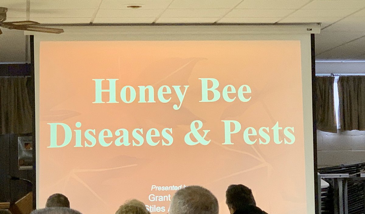 Danielle Denmead tweet media