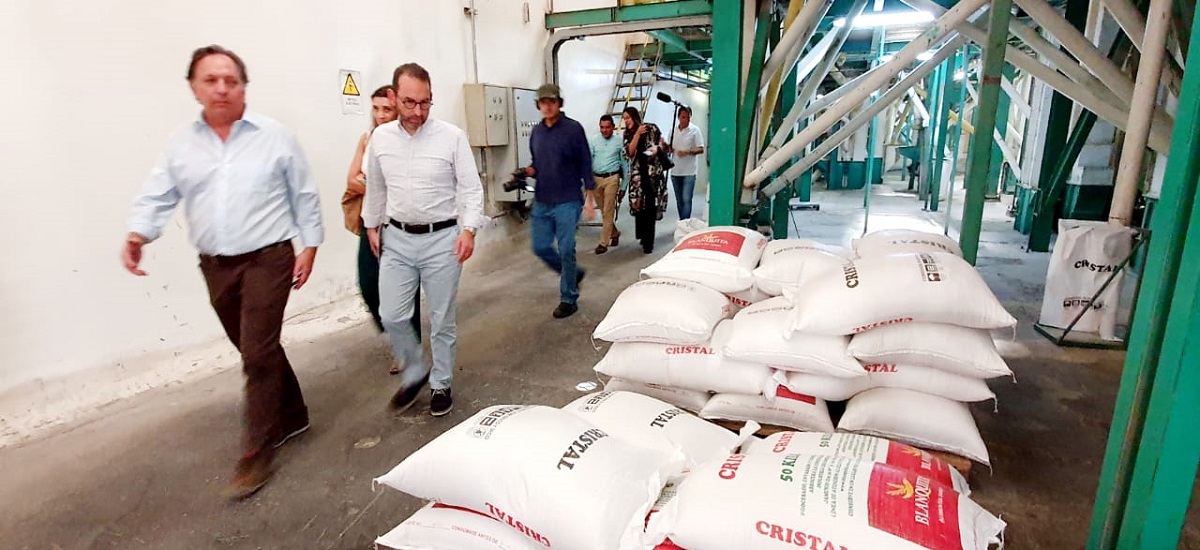 DiarioPiragua's tweet photo. #Agro | MinAgricultura selló 1.843 acuerdos de `Coseche y Venda a la Fija’ | https://t.co/dSIVDQrQfb #MinAgricultura #Acuerdos #Coseche #VendaALa Fija https://t.co/Q6vXaAIcDh