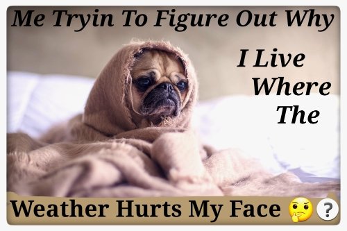 StoneBear77's tweet photo. @THEHONEY63 @cyndisherrera Thanks Susan &amp; Cyndi I'm Staying Home Lotta Snow &amp; Ice Coming, If Anything Mebbe Venture Down Tomorrow, My Sister Is Postponing Niece's Bday Activities ! HAVE A GOOD DAY EVERYONE !! ❄🌬💙🔥🕯💕 Keep Warm &amp; Safe https://t.co/ETSoKCxlHD