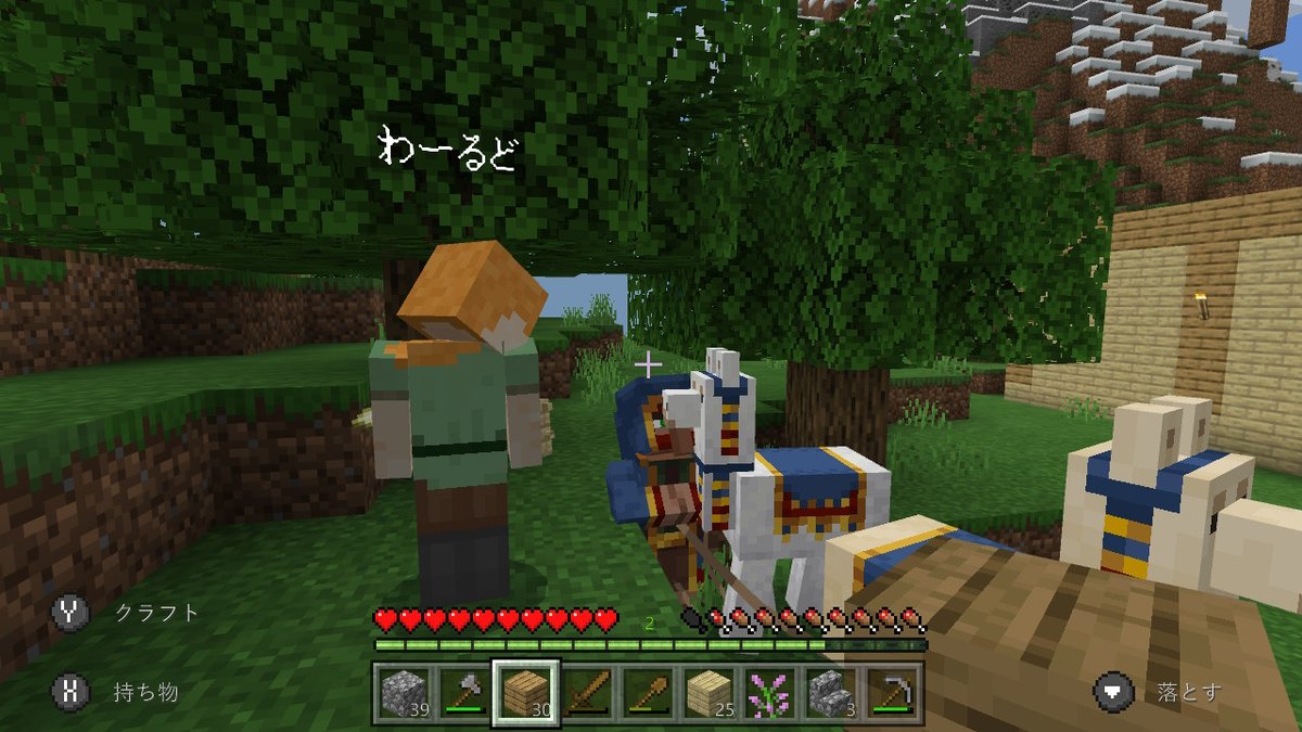 ヒカル 遊牧民を発見 わーるど 遊牧民を飼う事にする Minecraft マイクラ マインクラフト Nintendoswitch