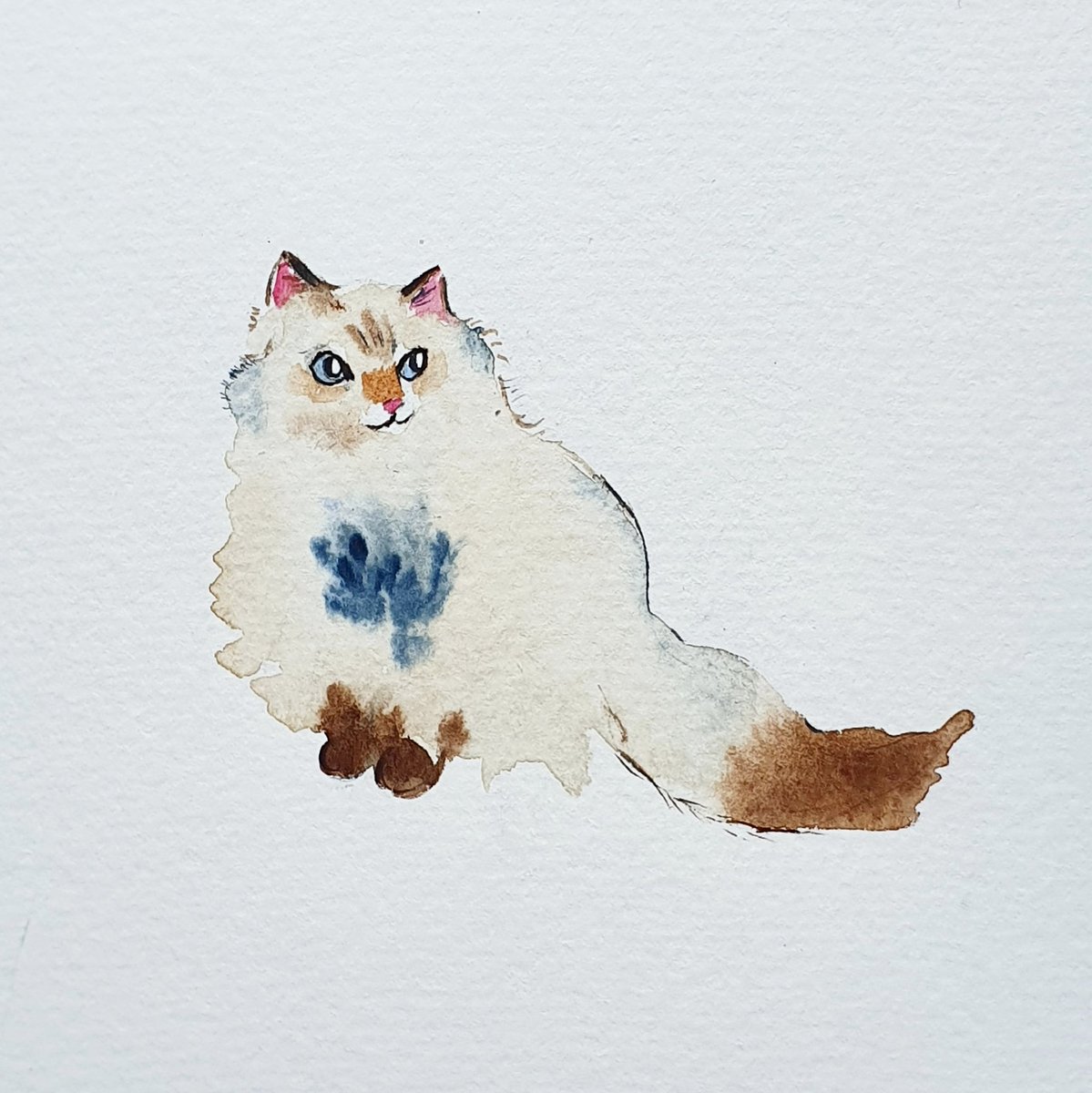 HannahJaneAllen's tweet photo. Happy #Caturday! Building out a new series, which will be live in the shop come end of Jan. Rolling out the sneak peeks here: https://t.co/oijxcU1EWk #illustrationart #Watercolour #SaturdayMotivation https://t.co/Y3r5dfhsLd