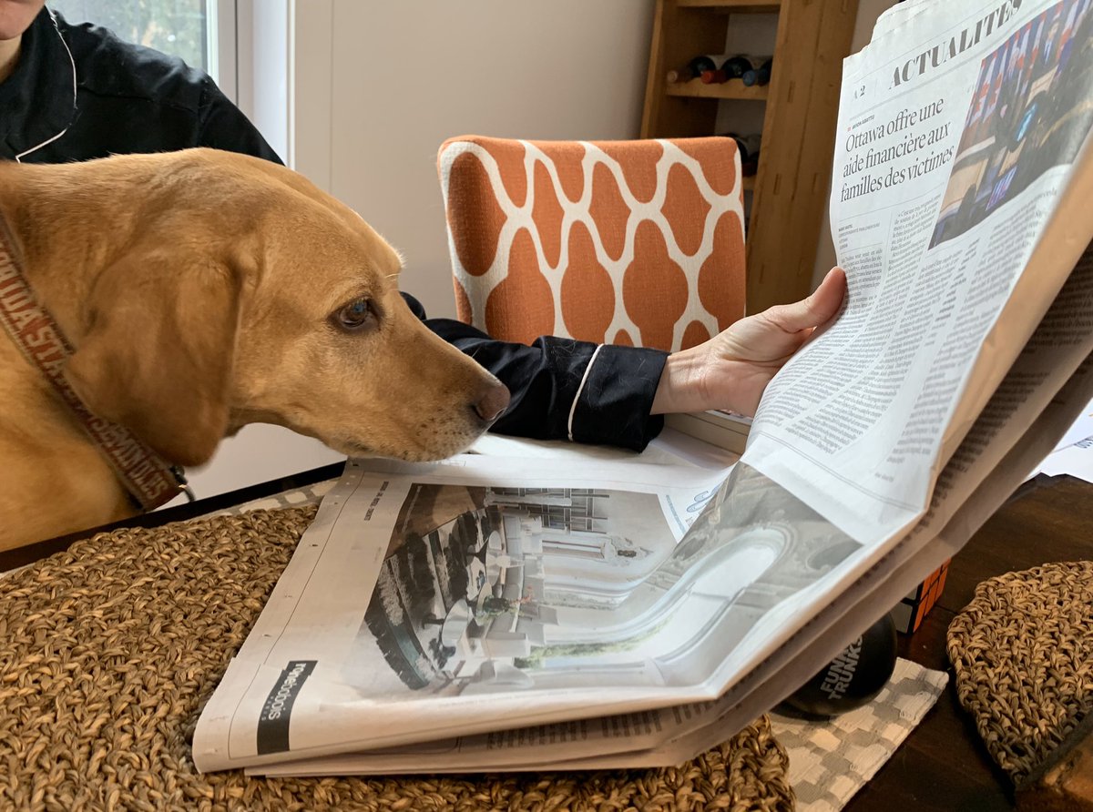 svaillancourt's tweet photo. @KatVerebely Non! Je laisse mon chien lire @LeDevoir par contre! https://t.co/Ffr5D7i5sv