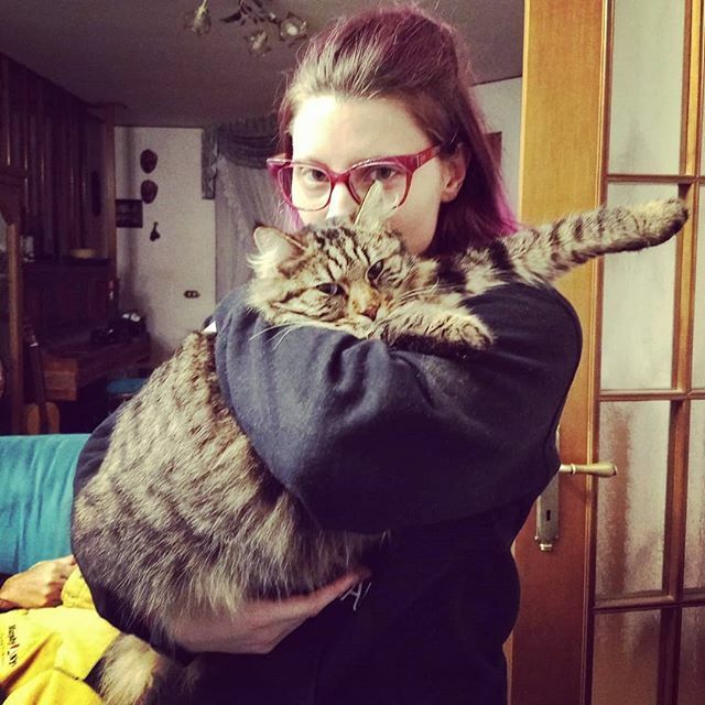 DediTati's tweet photo. Melted for too many cuddles β₯οΈ he's liquid π€£
.
.
.
.
.
#brick #cat #cats_of_instagram #catsofinstagram #cats_of_world #catstagram #catsofworld #catlife #catsoninstagram #tabby #tabbycat #tabbycats #tabbysofinstagram #pet #petstagram #petsofinstagram https://t.co/MPbI9rxnPV https://t.co/8H4anqJV3j