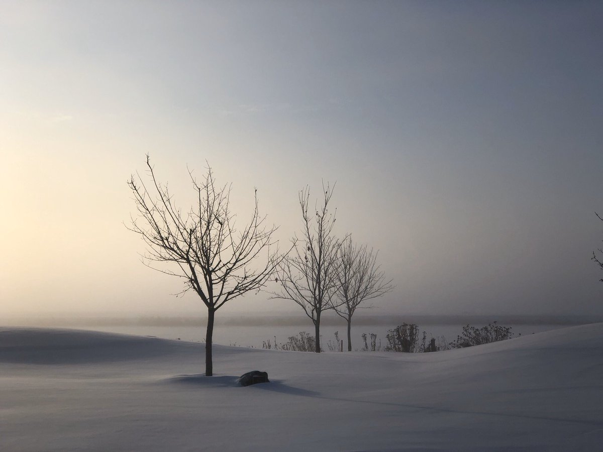 Cold..
#yeg #alberta #winter #cold #morning #fog #frozen #landscape #weather