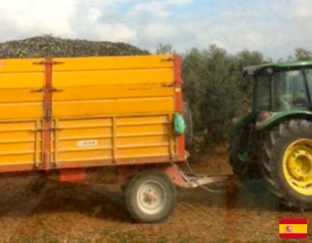 Ultimo remolque de aceitunas. #hojiblanca #aove #ecologico #caae 

La recolección de este año ha finalizado.

Comienza la comercialización de la nueva #cosechapropia #LivesOlives 19/20, desde #Rute #ParqueNatural de la Subbetica  @SaboraCordoba