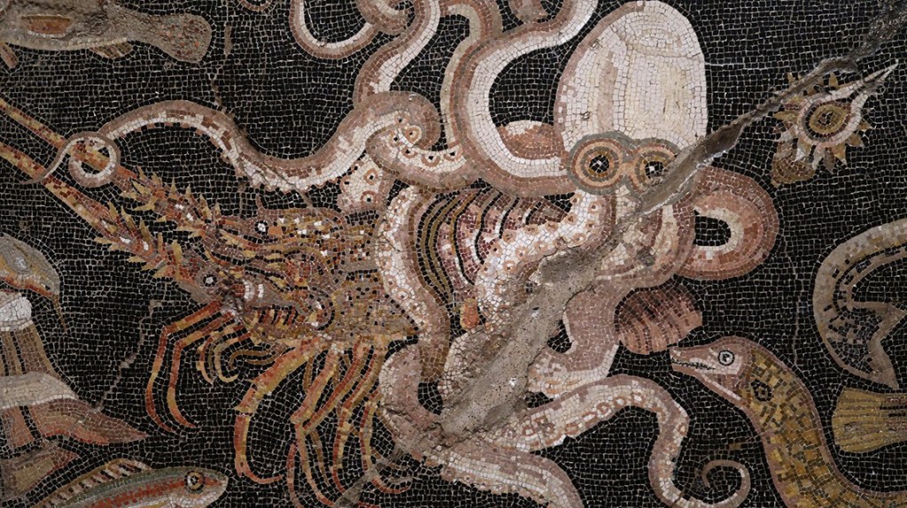 Veronica Roth tweet media