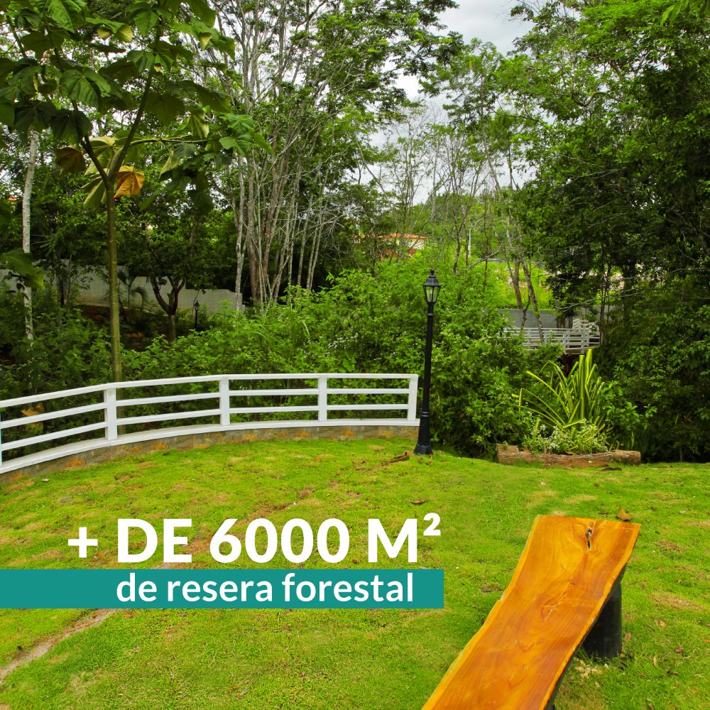 HADevelopers's tweet photo. Sabías que #EcoGardensArraijan cuenta con 6,000 m2 de Reserva Forestal. 🌳🍃
Donde podrás relajarte, leer un libro, hacer deporte y apreciar lo hermoso que tiene la naturaleza para ti! ¿Te interesa saber que más te ofrece este proyecto?

Contáctanos al 6257-4673📲 https://t.co/EjqFJpuMM7