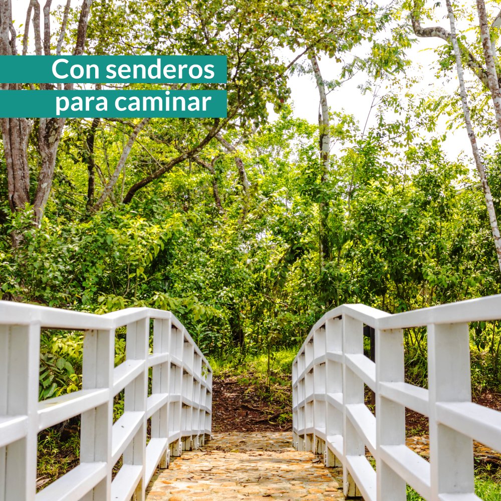 HADevelopers's tweet photo. Sabías que #EcoGardensArraijan cuenta con 6,000 m2 de Reserva Forestal. 🌳🍃
Donde podrás relajarte, leer un libro, hacer deporte y apreciar lo hermoso que tiene la naturaleza para ti! ¿Te interesa saber que más te ofrece este proyecto?

Contáctanos al 6257-4673📲 https://t.co/EjqFJpuMM7
