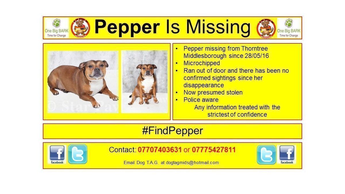 DogTAGMids's tweet photo. #FindPepper
Pepper missing from Thorntree Middlesborough since 28/05/16
Microchipped #ScanMe
Ran out of door and there has been no confirmed sightings since her disappearance
#Stolen
Police aware
☎️ 07707403631 or 07775427811 https://t.co/nEaQuaxJef