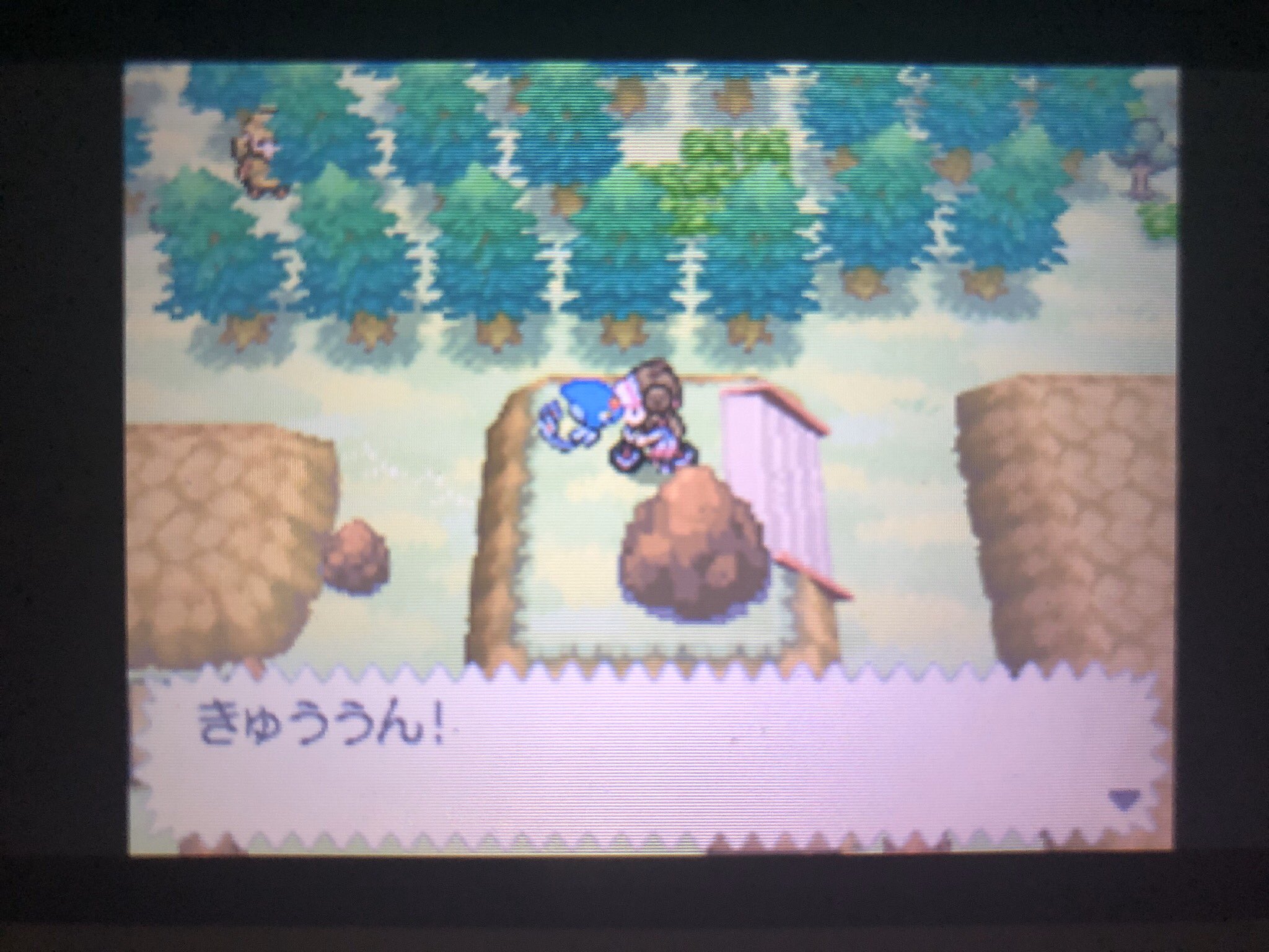ふみ ポケモンbw2 何度もやけどで倒してしまい まひ作戦に変えたらあっさり今日ゲットできたクレセリア 昨日は近くにお化けの女の子も 出てきた あのときの みかづきのはねくれた ストレンジャーハウスの 話しかけたら女の子消えちゃって撮り