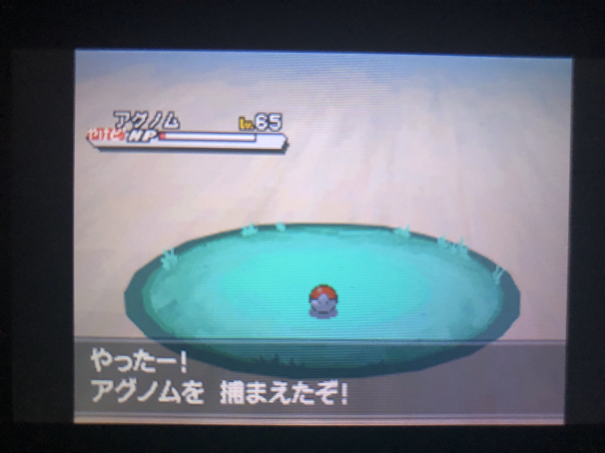 ふみ ポケモンbw2 仕事前にめっちゃ伝説捕まえた キュレム ヒードラン クレセリア エムリット ユクシー アグノム 以下自分用記念写真 T Co Mnwdwxr9rx Twitter