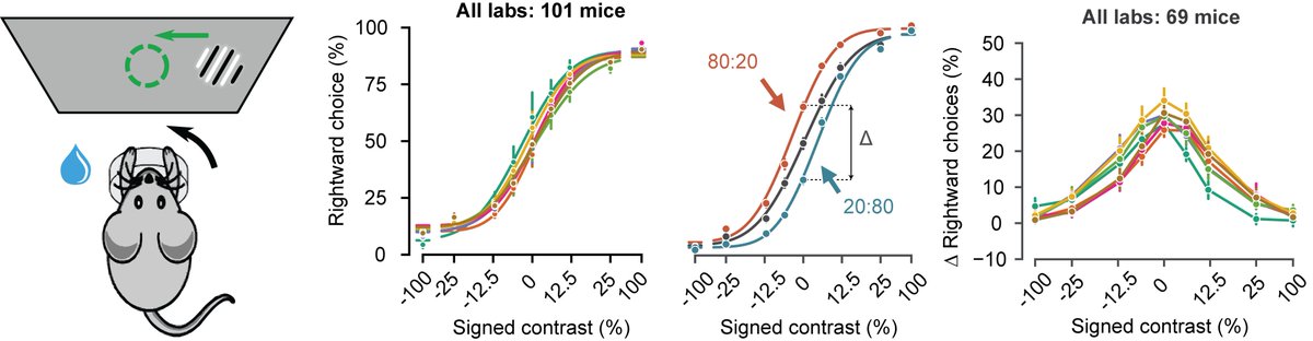 IntlBrainLab's tweet image. After &amp;gt;2 years of effort by our team in 7 labs, we present to you: 3 million choices from 101 mice in a standardized decision-making task. 🐭

&quot;A standardized and reproducible method to measure decision-making in mice&quot; doi.org/10.1101/2020.0…

Story time! 🧵👇 1/10