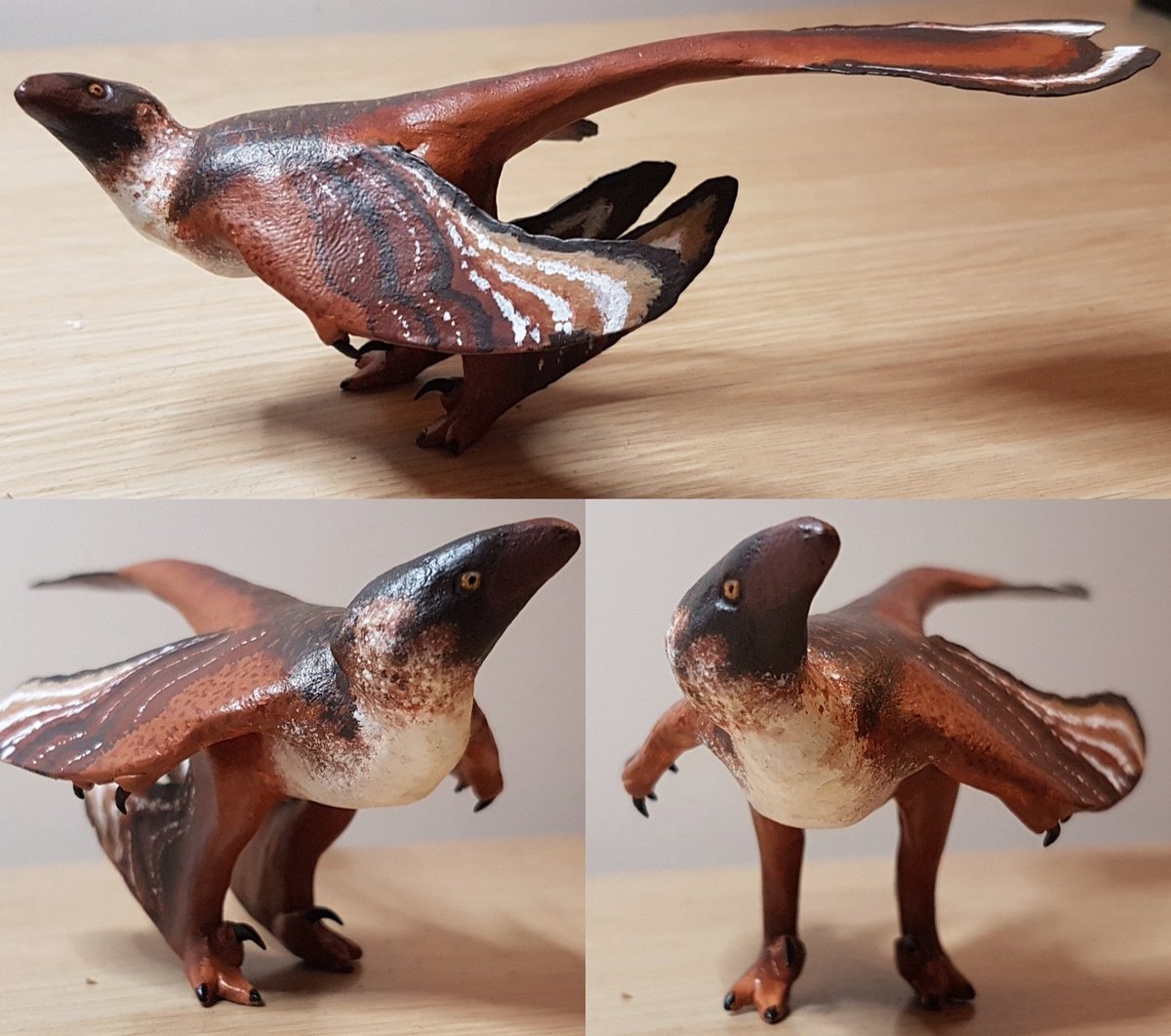 Jed Taylor tweet media