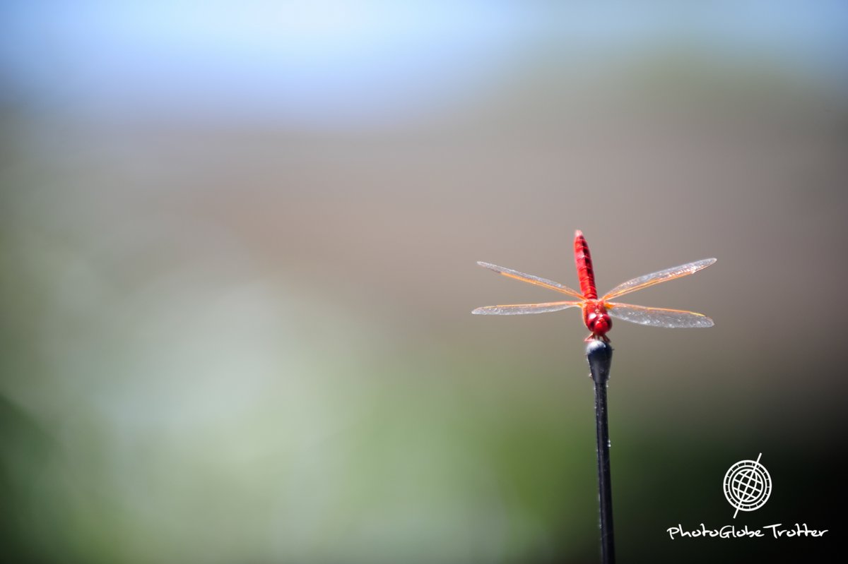 #fotografia #photo #photographer #nature