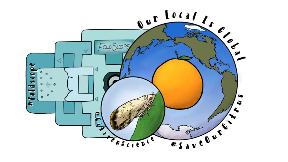 amydownsamy's tweet image. Sharing ideas about #CitzenScience &amp;amp; using #Foldscopes in your classroom at the #TechRodeo!  Learn about #ACP/HLB &amp;amp; other ways to integrate #microscopy! #NGSS #SaveOurCitrus #MiagnifyYourCuriosity @TeamFoldscope