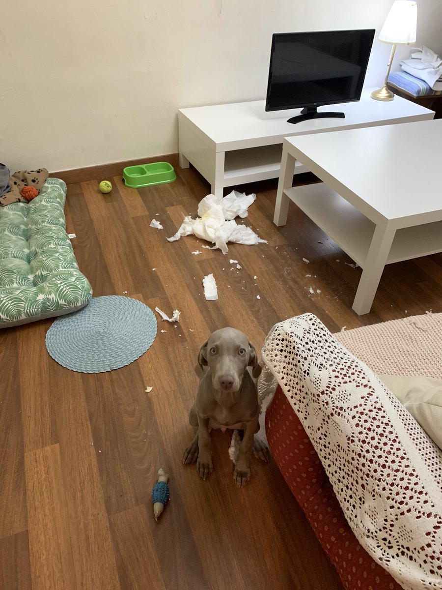 Soy malísima pero pongo cara de todo lo contrario 🤷🏽‍♀️💆🏽‍♀️