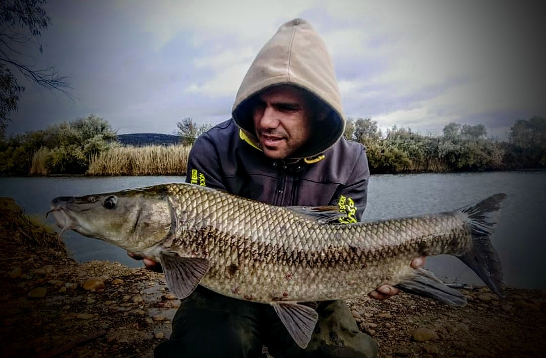 #KRABBEN #PERALBAITS #GUADIANA #barbos
