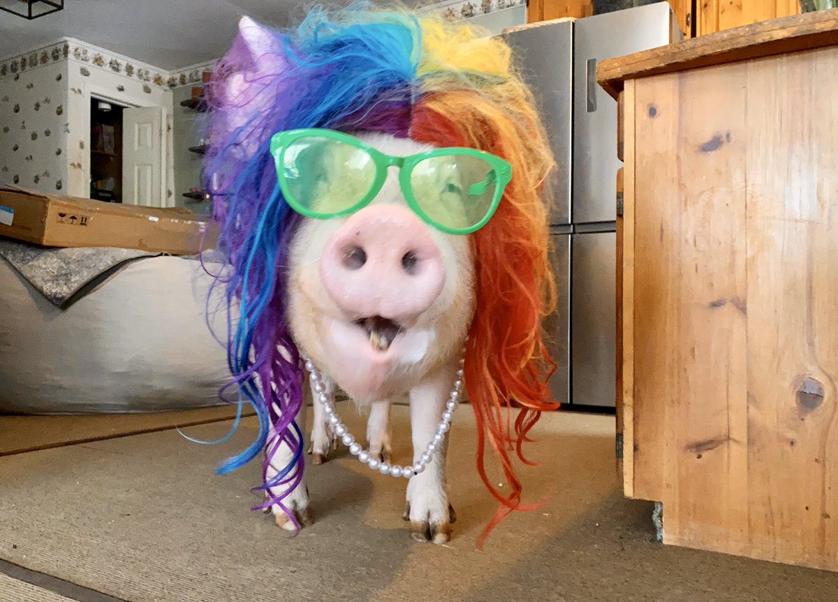 I didn't plan on being super awesome today. But it happened, so I'm just going to roll with it. #BeTheReasonSomeoneSmiles