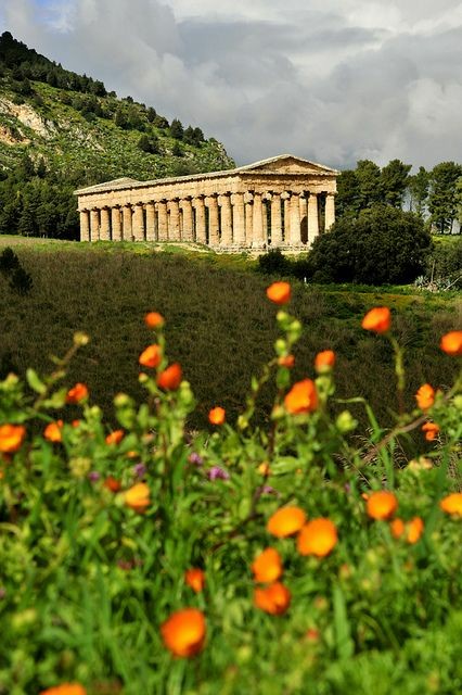 CasaLettori's tweet photo. Vi aspetto con un nuovo gioco 

#UnVersoPerTe a #CasaLettori 

Se fate qualche RT ve ne sarò grata

Maria Anna

Tempio di Segesta https://t.co/8tN6IbhrVg