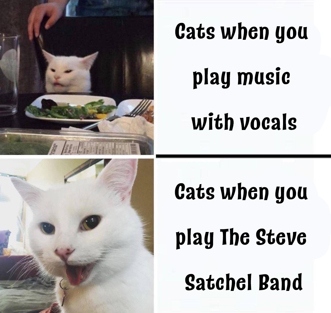 Steve Satchel Band tweet media