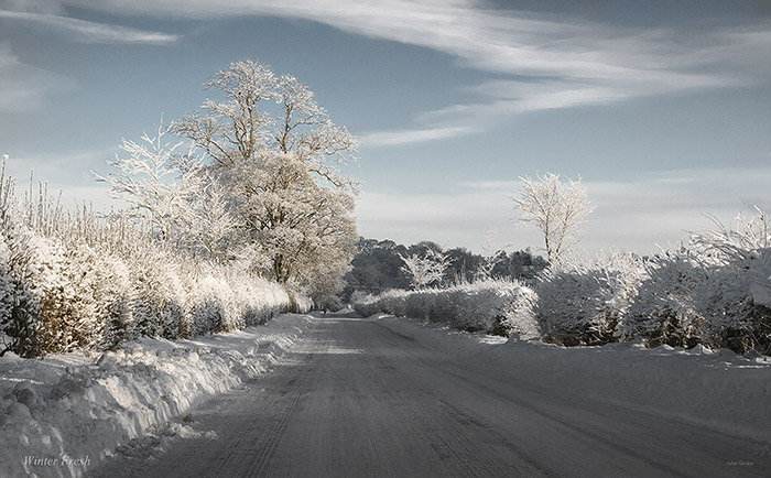 JimGordon46's tweet image. Winter Fresh, Scottish Borders, #stormhour #thephotohour @ScotKnitter @ScotsMagazine @rorybremner @MorningScotland @Scottish_Banner @theSNP @ChrisMattCook @thetwo_bees