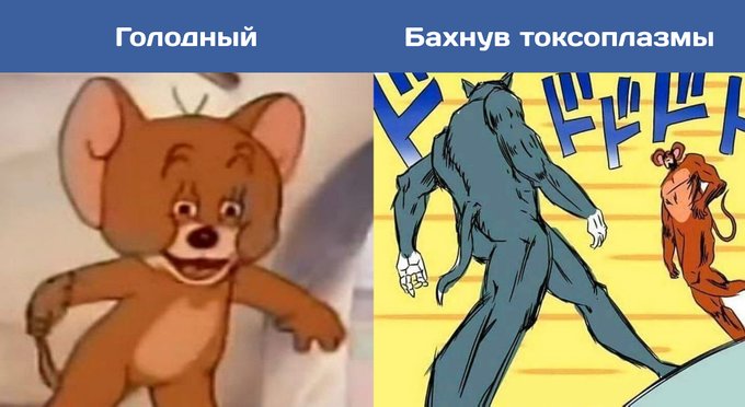 EOlVUnJWkAAbHZ-?format=jpg&name=small