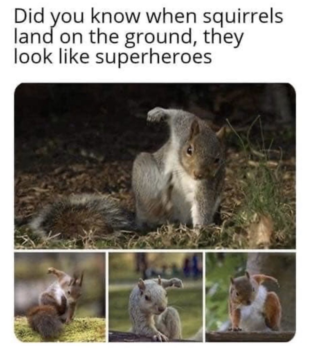 Talkin’ Shiz (@shiz_talkin) on Twitter photo 