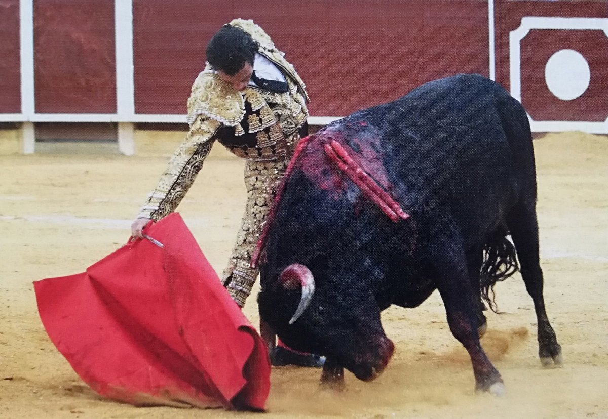 Montoro. 08-10-2004.
Juan Serrano "Finito de Córdoba".
Toro "Langosto" n°21 de Juan Pérez Tabernero.
Foto: José Antonio León.