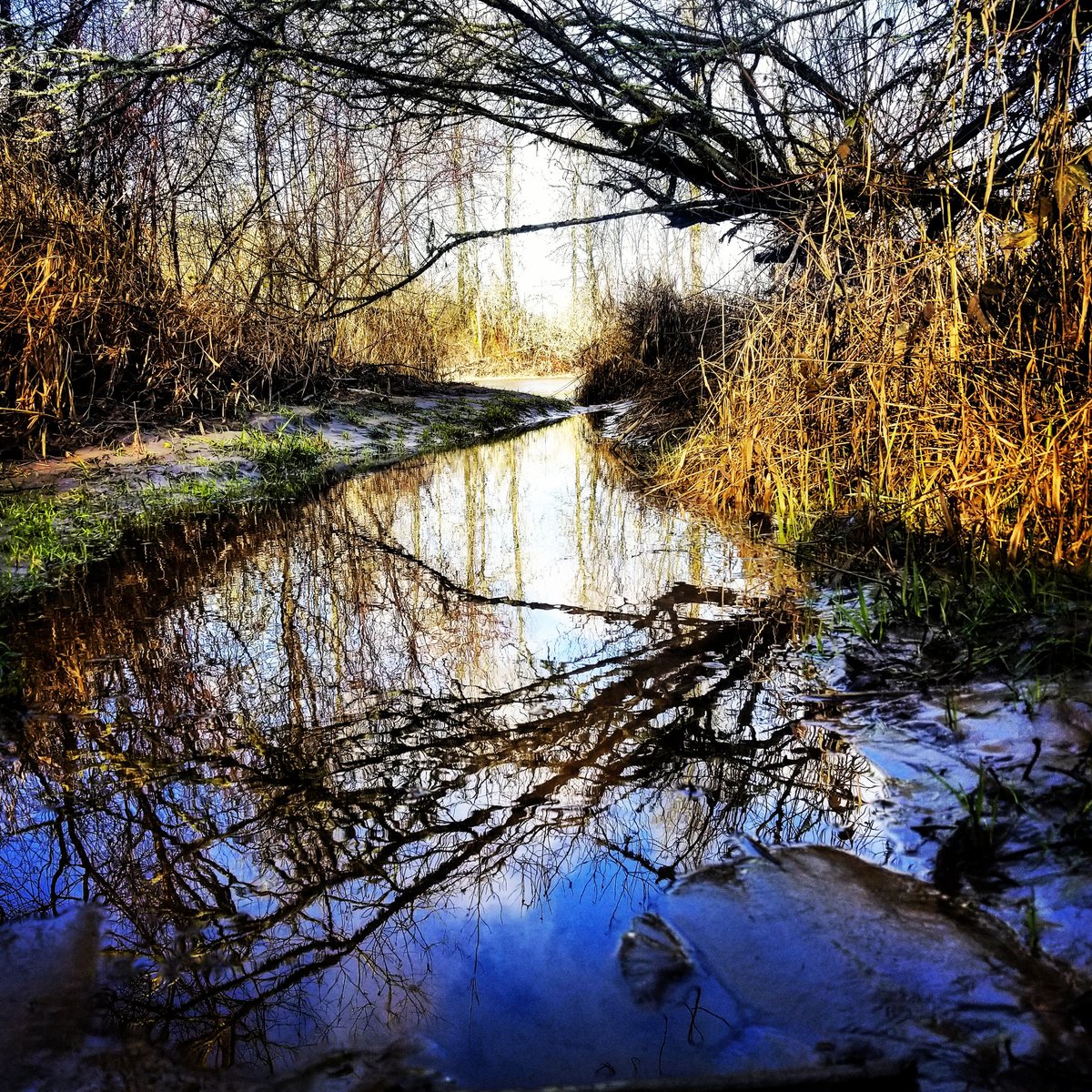TheDailyNailon's tweet photo. #FishRap: When the River Rises Up to Meet You
-Wandering ruminations plus updates on steelhead, trout, waterfowl, razor clams, fishers, and fresh mountain snow!
https://t.co/SL6R8xnnjA
#outdoors #reeltalk #HuntWA #razorclams #skiing #powderheads https://t.co/ZDubLIj0Eu