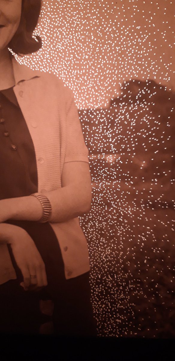 ••Elizabeth•• tweet media