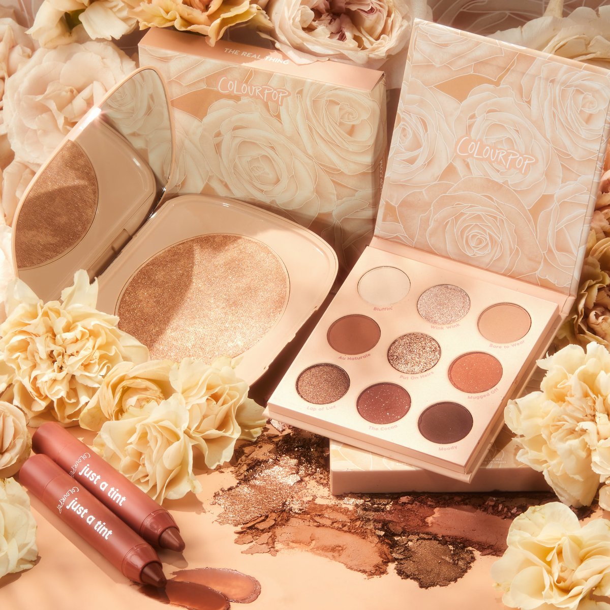 ColourPopCo's tweet photo. Vote for your fave collection ⬇️

✨Nude Mood
😊Blush Crush https://t.co/JnKL04Cuou
