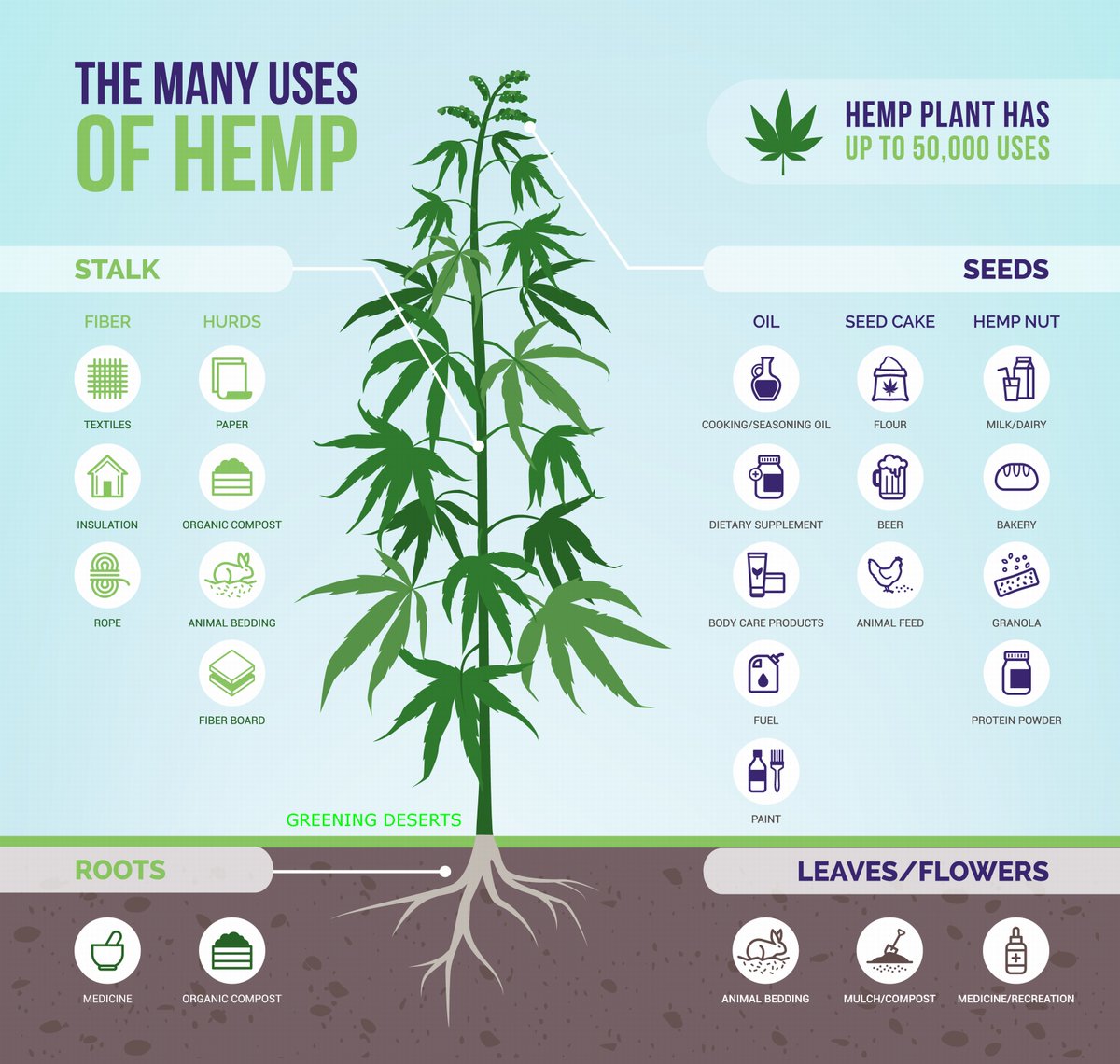 Hanf verbessert die Luft-, Klima-, Boden- und Wasserqualität. Hanfpapier schont die Bäume und Wälder, reduziert die globale Erwärmung, den Klimawandel, Papier- und Plastikmüll #Hanf #Hanfpapier #Hanfholz #Hanfplastik #HempPaper #Klimaretter #Klimaschutz #Klimawandel #Umweltschutz