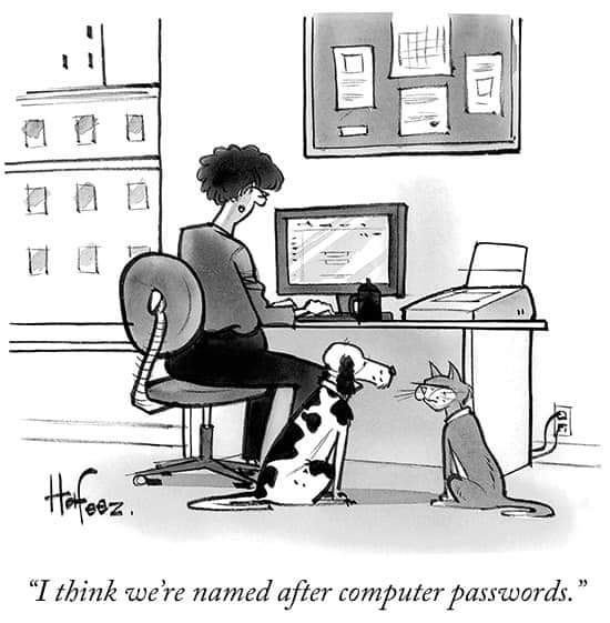 rezz_tech's tweet photo. #rezztech #linux #Microsoft #passwords #password #comic #cartoon #CyberSecurity https://t.co/4P8fSpUx7M