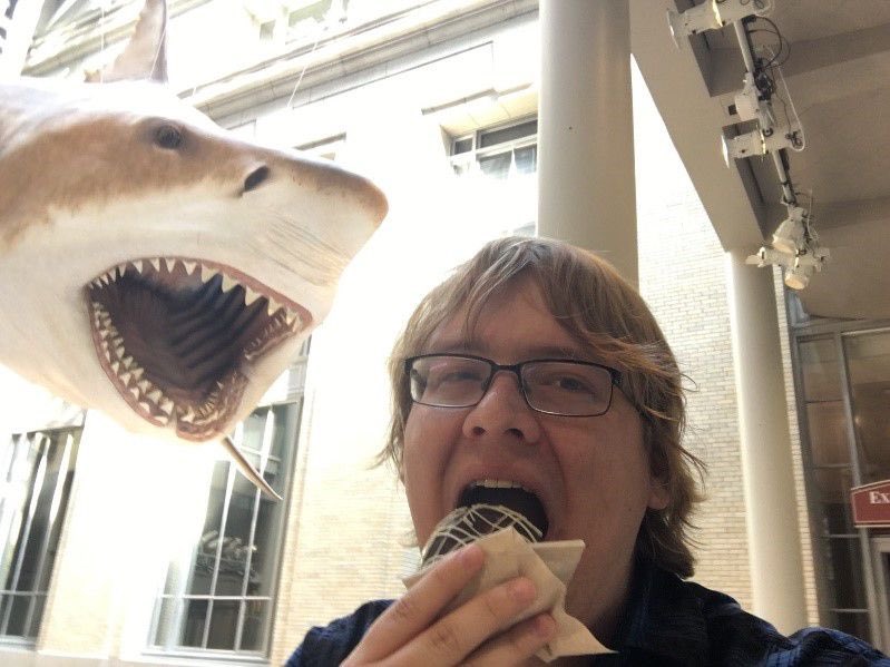 BBedfordScience's tweet photo. Consider going to a museum this weekend or on Tuesday and showing your love for them on #MuseumSelfieDay! Maybe my antics while interning @NMNH will inspire you. https://t.co/ULWV5AOsxd https://t.co/cQU2WXcEXx