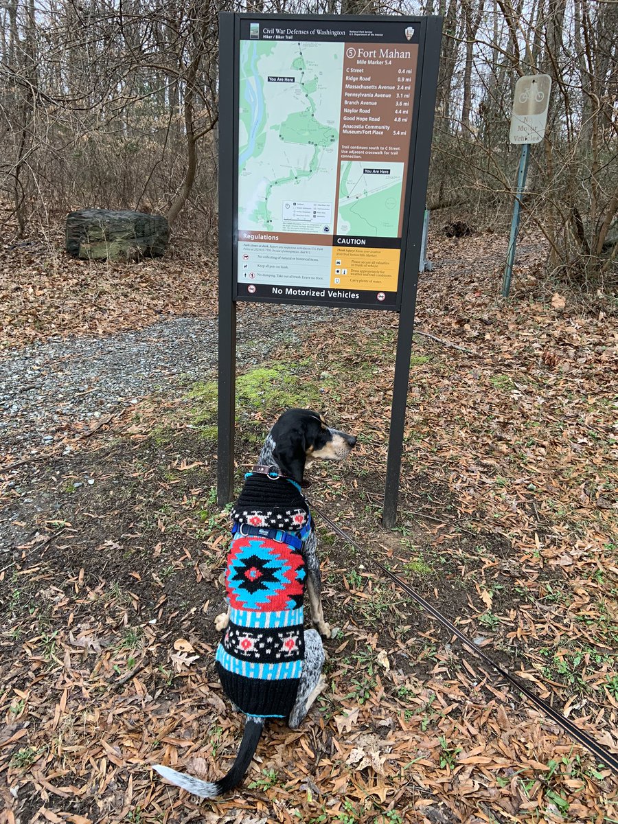 pickelodeon's tweet photo. Winter hikes at #fortchaplin #ward7 @NPSNewsDC https://t.co/Npg1GeuIhS