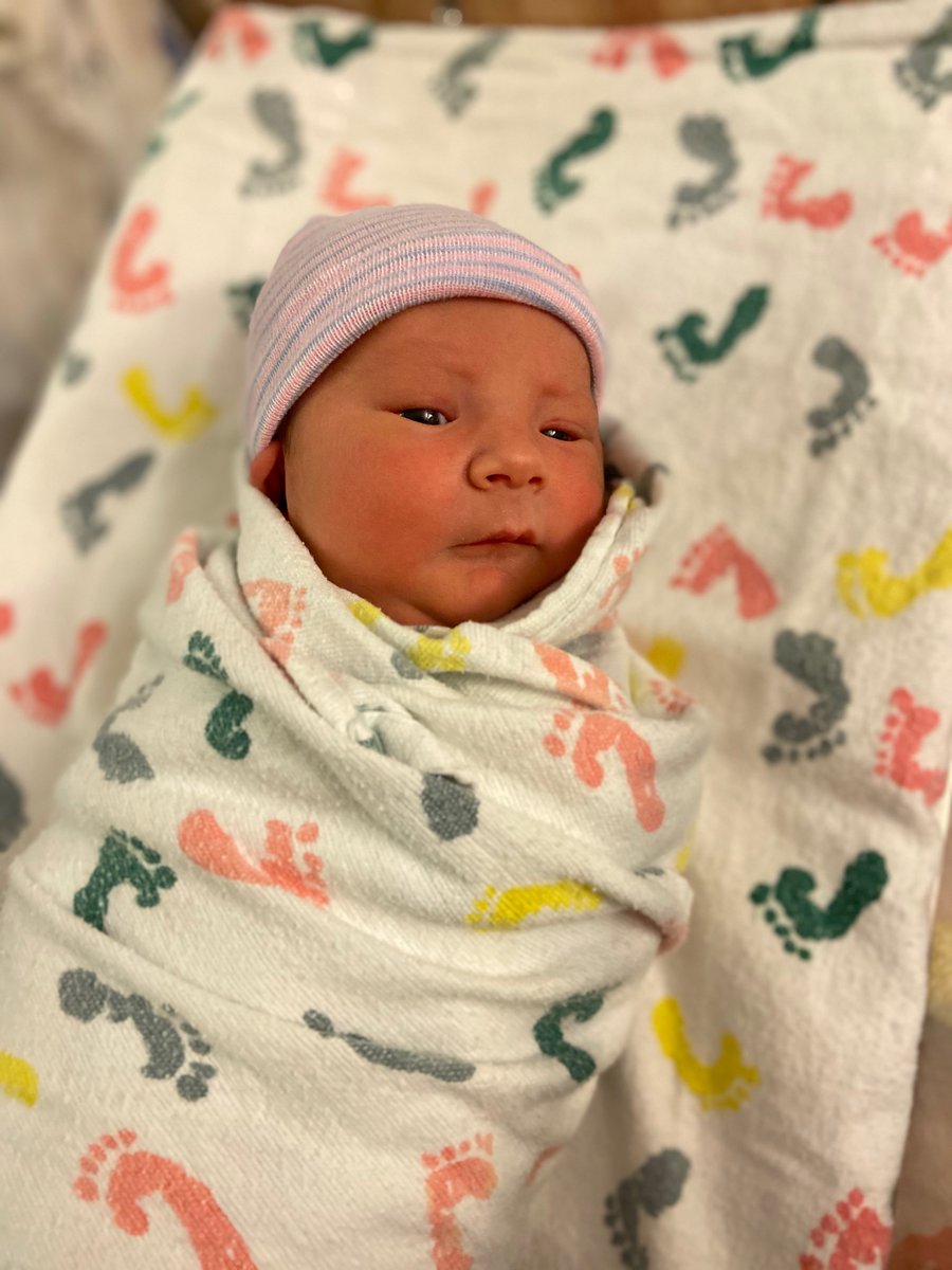 erynq's tweet photo. @BenForstag is the best husband in the world for asking @DLChamplin to make a video to celebrate the birth of our little guy. #CrazyExGirlfriend and @Racheldoesstuff are basically responsible for this baby, who was nicknamed Appleman in utero @McMillzz   
https://t.co/r7P1wsXnII https://t.co/Zb3GVQgPfh