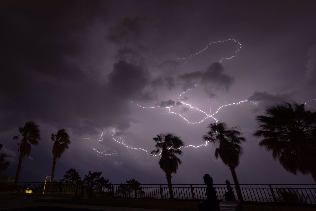 Kyle Mijlof tweet media