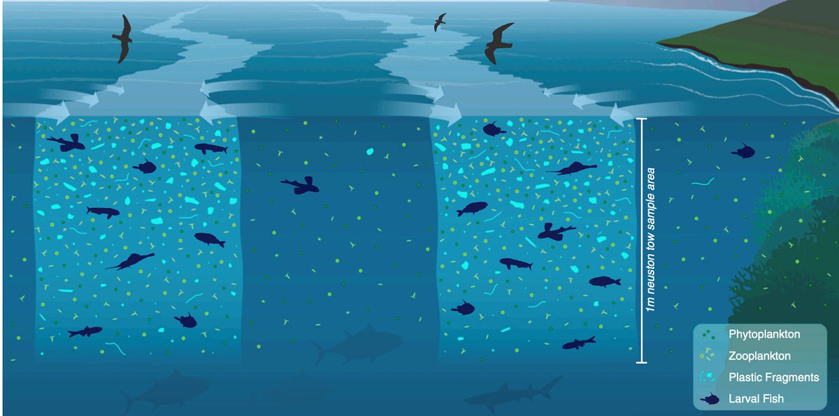 The water where baby fish are outnumbered 7 to 1 by plastic wef.ch/2QrLZNs #Plastic #Pollution