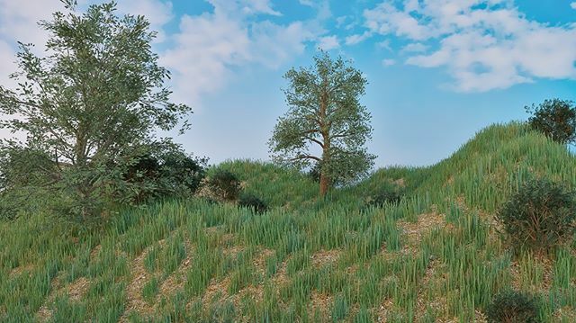 PhotosSikes's tweet photo. CG Render. Trees, bushes, and grass 3D render.
#4krendering #3drendering #3drenderart #3drealistic #realism #blender #3dlandscape #landscaperendering #realismrenderings #3dart https://t.co/qIkgQZ7snd https://t.co/ZbYskEBFvg