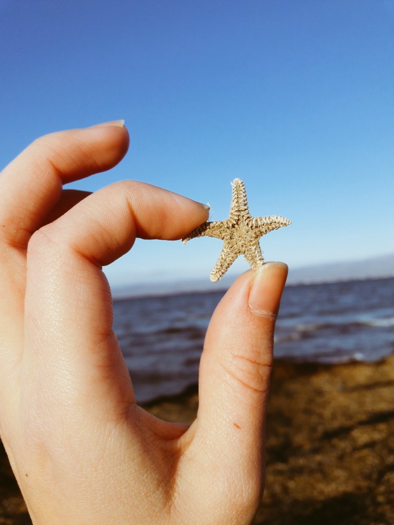Guncegull's tweet photo. Bu mükemmel maviye aşığım sanırım 💙 https://t.co/GSN7s5CiT1